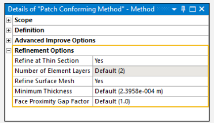 Mesh Refinement Options